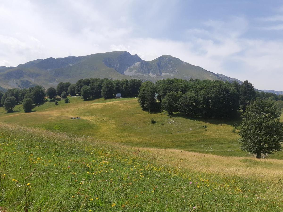 Durmitorski konak Žabljak Exterior foto