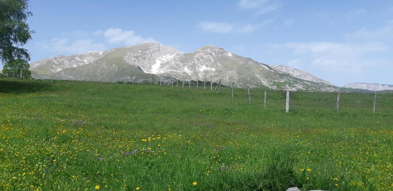 Durmitorski konak Žabljak Exterior foto